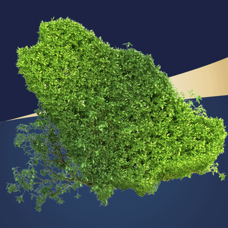 sustainability-policy
